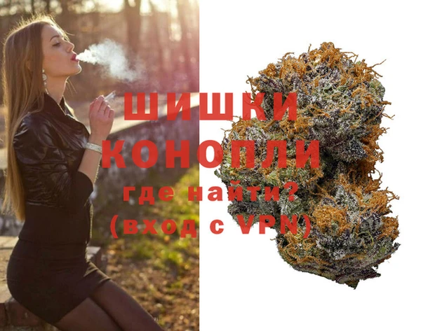 хмурый Белокуриха