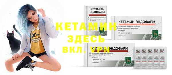 хмурый Белокуриха