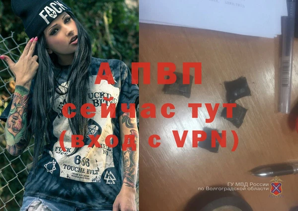COCAINE Беломорск