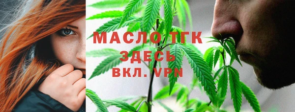 хмурый Белокуриха