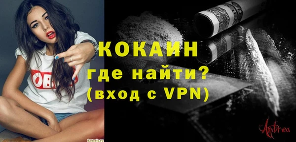 хмурый Белокуриха