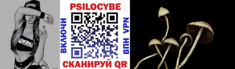 Галлюциногенные грибы Psilocybine cubensis где купить kraken ТОР Воткинск